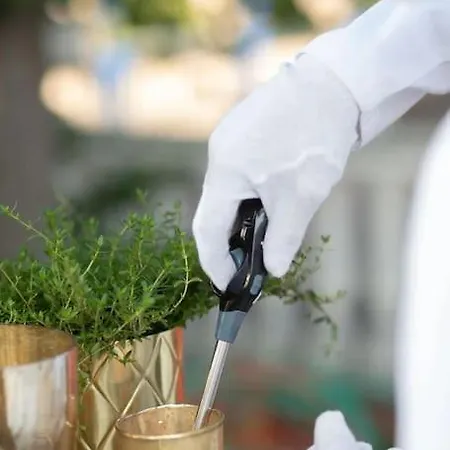 Heckenfels Villa Bad Honnef