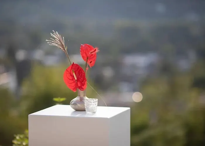 Heckenfels * Bad Honnef