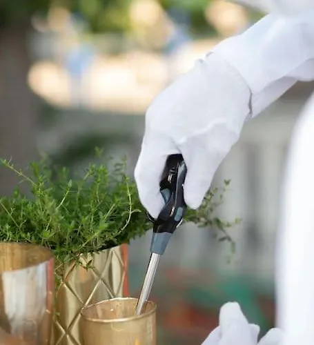 Heckenfels Villa Bad Honnef